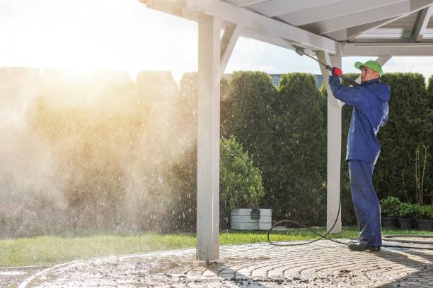 Best Soft Washing  in Moorefield, WV