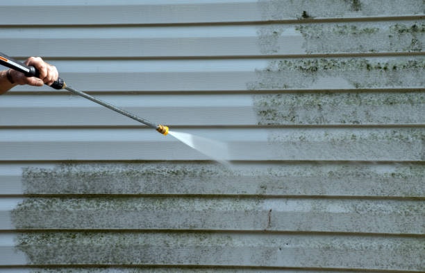 Best House Exterior Washing  in Moorefield, WV